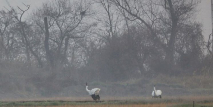 «امید» و «رویا» به هم رسیدند/ پایان ۱۵ سال تنهایی «امید»