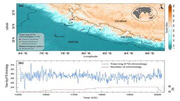 پیش‌بینی آینده با نگاه به درختان 