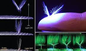 پری، رباتی که از دنیای افسانهها بیرون آمده / عکس