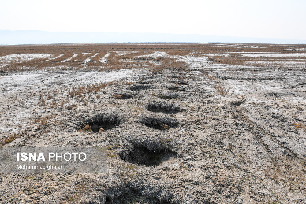 عکس | تصاویر باور نکردی از بیابانی شدن میانکاله