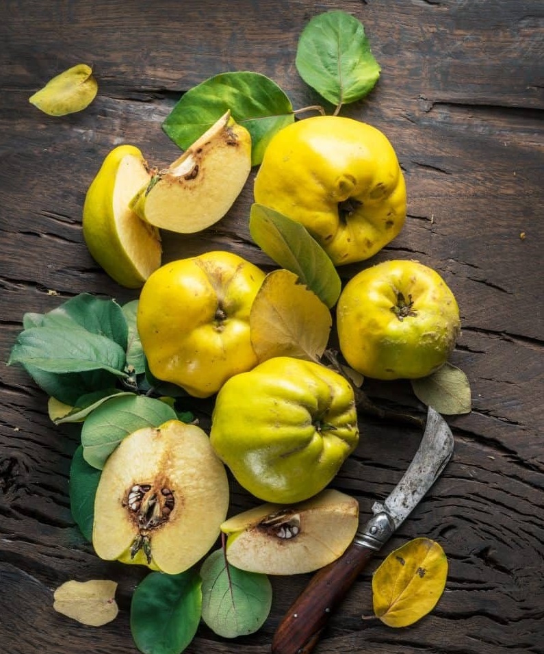 فواید جادویی این میوه برای پوست و مو 2