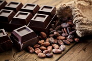 فواید درمانی و باورنکردنی مصرف روزانه «شکلات تلخ» برای سلامتی