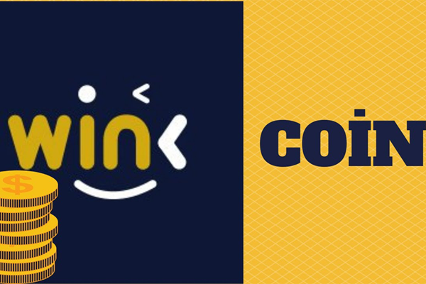 ویژگیهای وینک (WINK) چیست؟