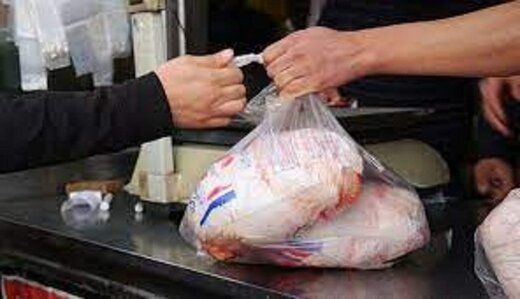 آخرین تغییرات قیمت مرغ در میادین / فیله مرغ کیلویی چند؟