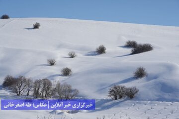 طبیعت برفی ارومیه