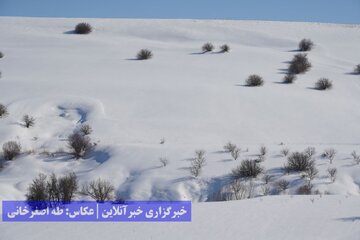 طبیعت برفی ارومیه