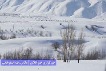 طبیعت برفی ارومیه