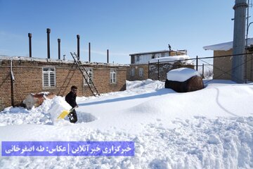 طبیعت برفی ارومیه