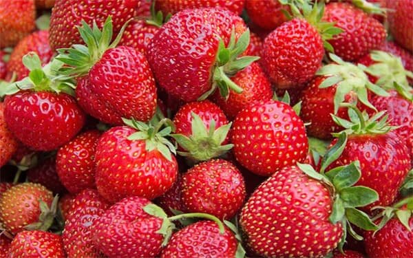 این میوه خوشمزه سلامت قلب را تضمین میکند