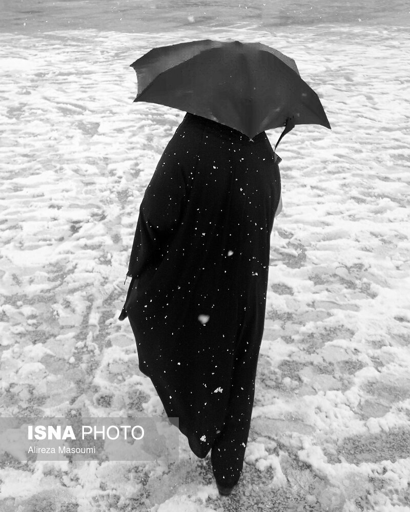 عکس | چتر بالای سر شهروندان تهرانی؛ تصاویر جالب از روز برفی پایتخت