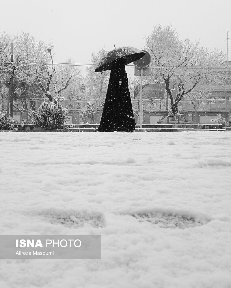تصاویر جالب از روز برفی تهران 