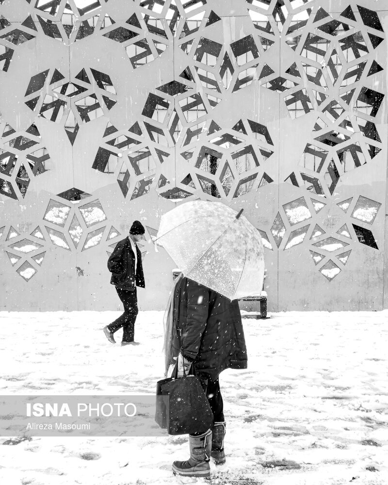 عکس | چتر بالای سر شهروندان تهرانی؛ تصاویر جالب از روز برفی پایتخت