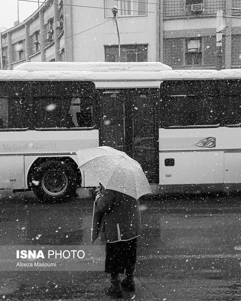عکس | چتر بالای سر شهروندان تهرانی؛ تصاویر جالب از روز برفی پایتخت