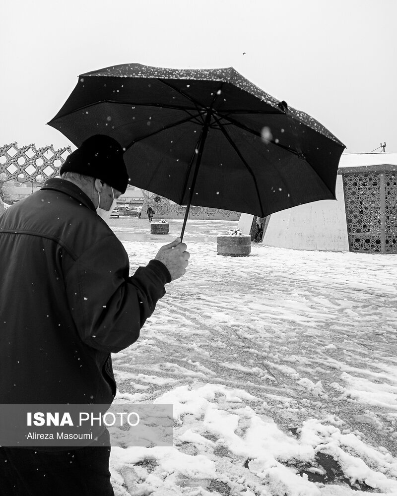 عکس | چتر بالای سر شهروندان تهرانی؛ تصاویر جالب از روز برفی پایتخت