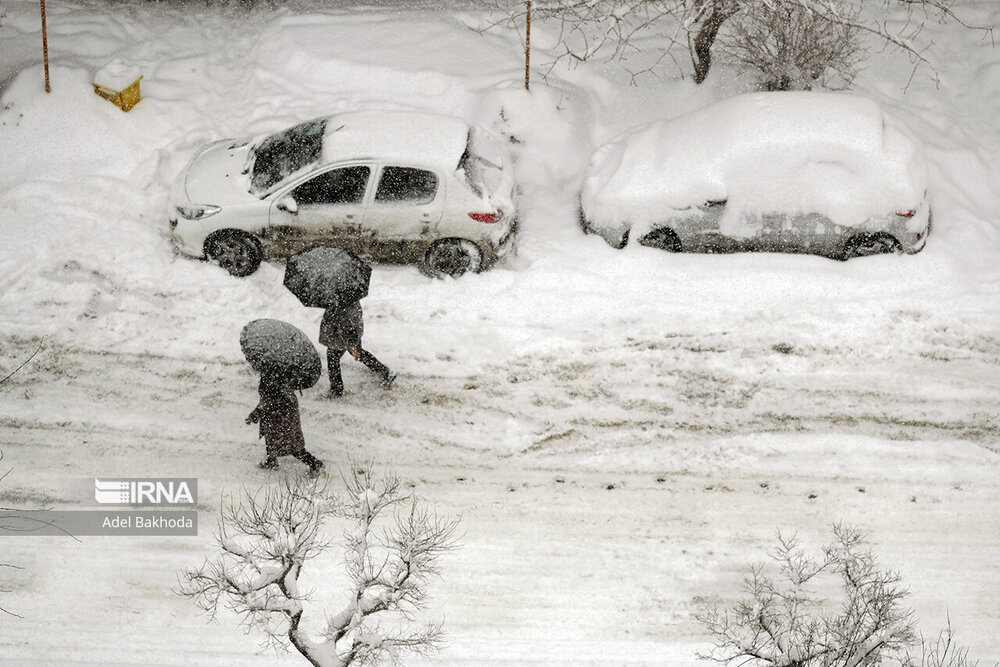 عکس | قدم زدن با چتر زیر بارش برف/ تصاویر جالب از بارشهای چند روز گذشته