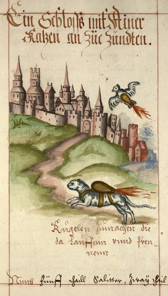 عکس | گربهها موشک جنگی میشوند