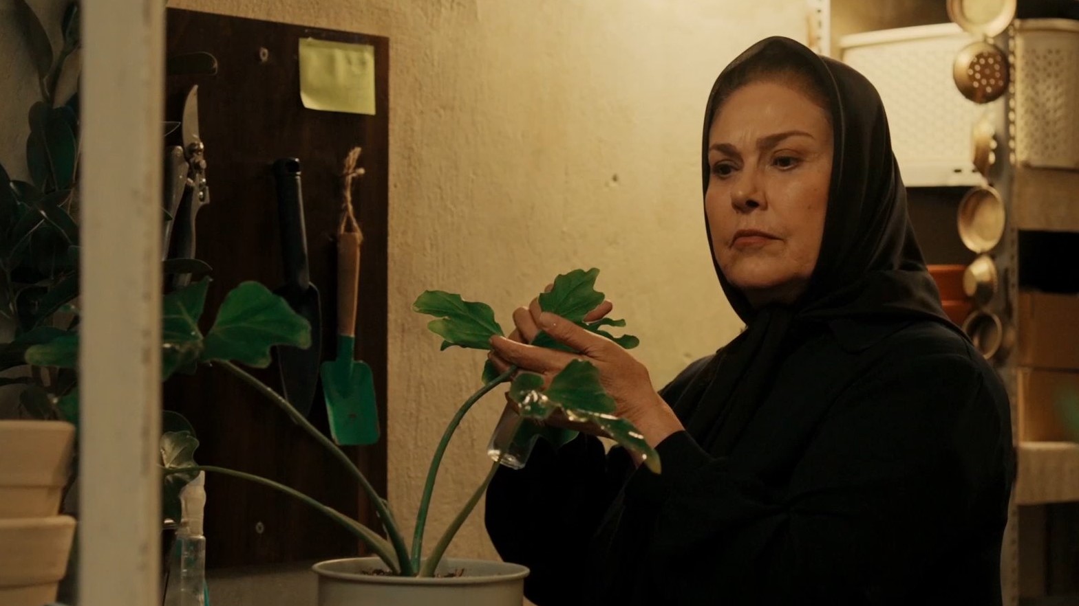 دانلود سریال مترجم قسمت پنجم ۵ (قسمت ۵ مترجم) کامل با لینک مستقیم