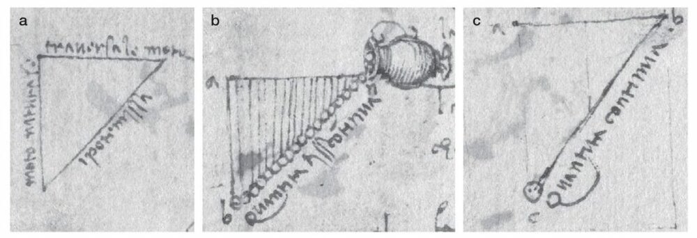کشف بزرگ دانشمند ایرانی در آمریکا / نیوتن اولین کاشف جاذبه نبود!