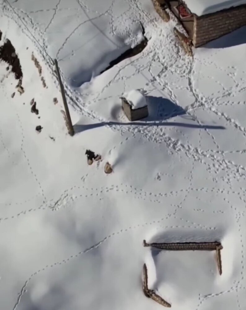 تصویر هوایی از زیر برف رفتن خانه‌ها در کوهرنگ/ عکس