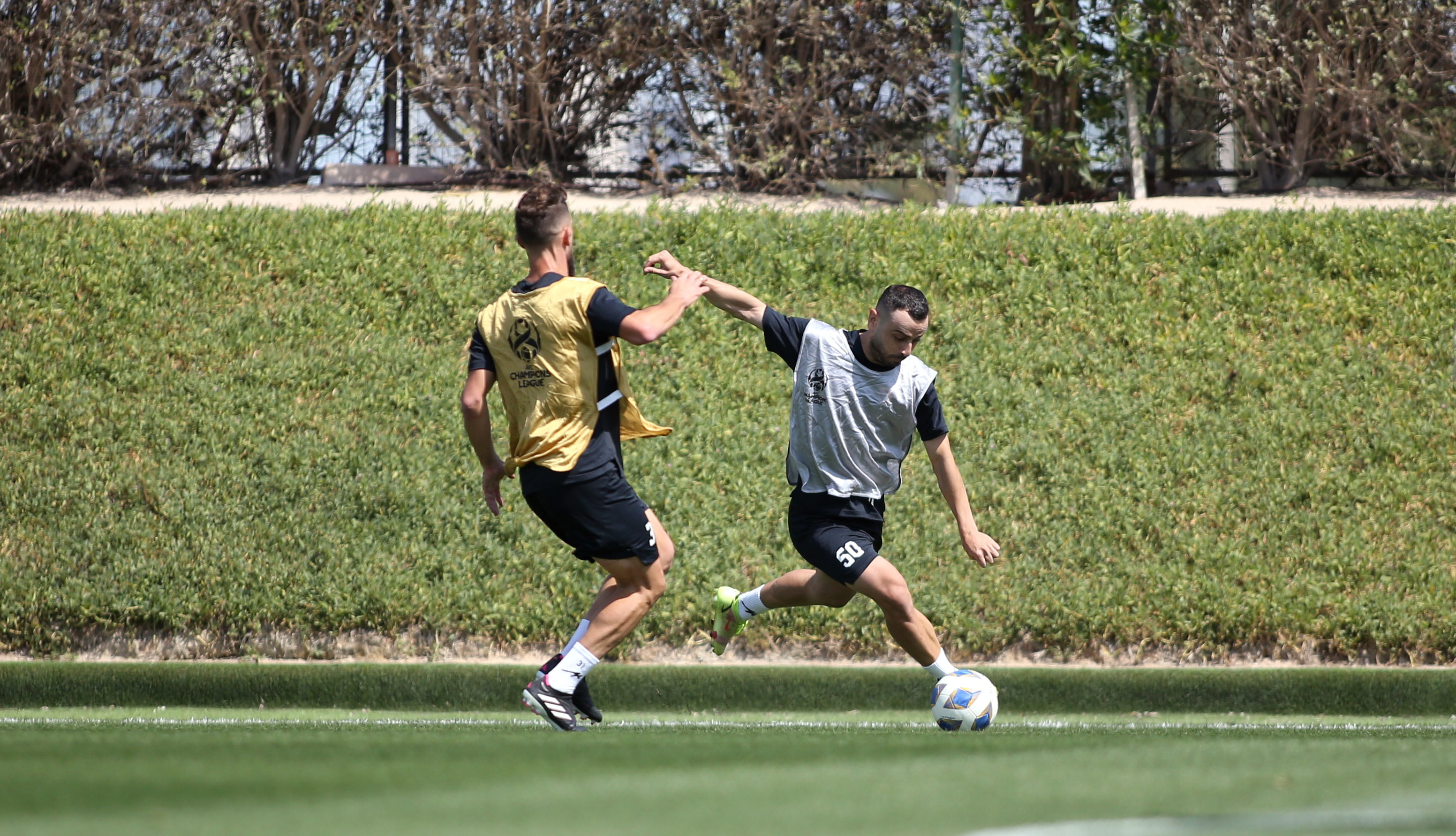 عکس| شاگردان نکونام در کمپ هلندیها