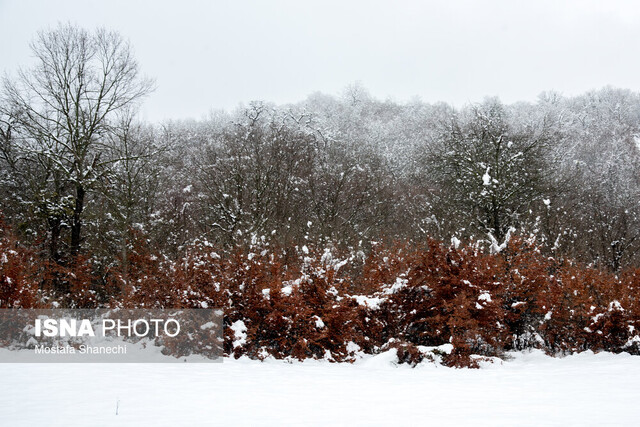 بارندگیها کمآبی کشور را جبران کرد؟