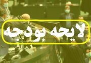 حمله روزنامه دولت به مجلس: لایحه بودجه را  با رعایت همدلی با مجلس تقدیم کردیم؛ لجبازی کردید