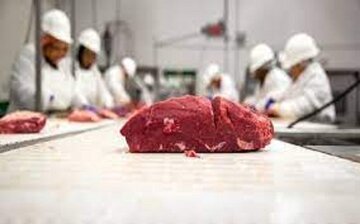 وضعیت بازار گوشت، قرمز شد وضعیت بازار گوشت، قرمز شد