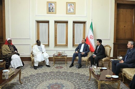 امير عبداللهيان: ايران والنيجر تمتلكان طاقات متنوعة لتطوير العلاقات
