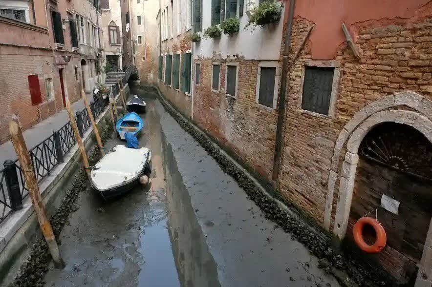 چرا «ونیز» خشک شد؟