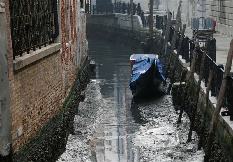 چرا «ونیز» خشک شد؟