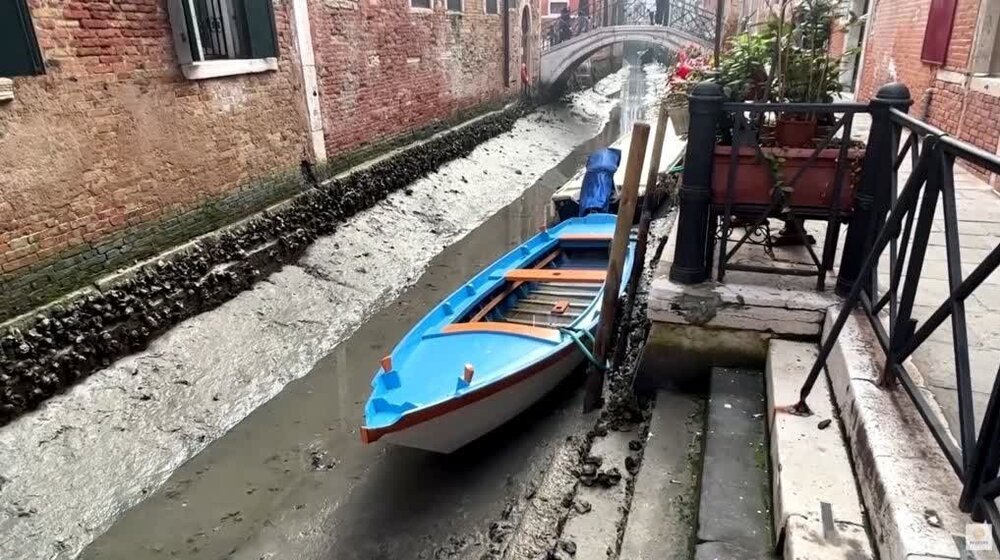 چرا «ونیز» خشک شد؟