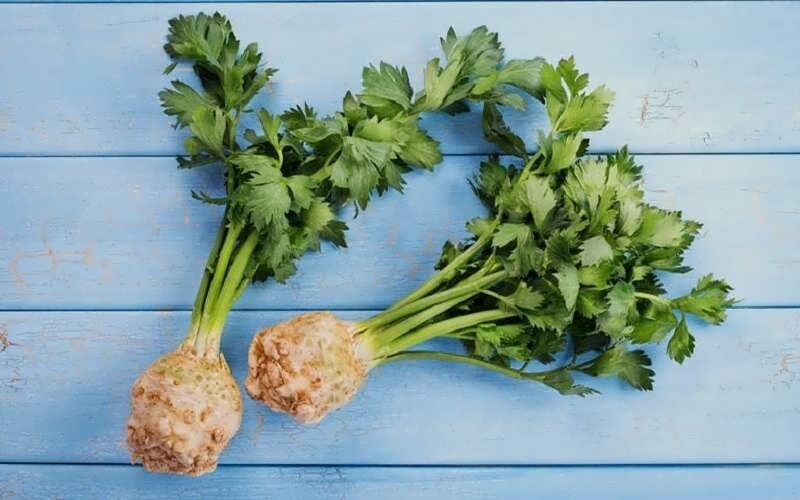 خواص شگفتانگیز و درمانی «کرفس کوهی» برای سلامت بدن 2