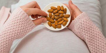 کاهش کلسترول خون با خوردن یک مشت مغز کاهش کلسترول خون با خوردن یک مشت مغز