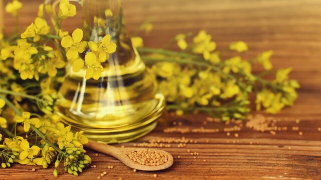 روغنی که احتمالا موجب آلزایمر میشود