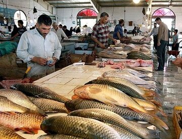 جدیدترین قیمت مرغ و ماهی در بازار و میادین/ قیمت هر کیلو ماهی قزل آلا چند؟