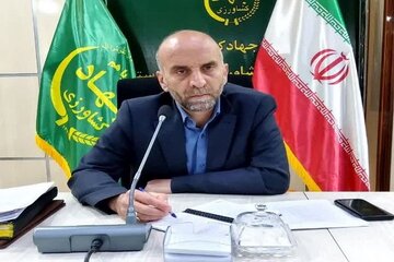 اجرای ۸۰ درصد طرح جهش تولید در دیمزارهای لرستان 
