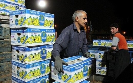 کارتن موز هم قیمتی شد کارتن موز هم قیمتی شد