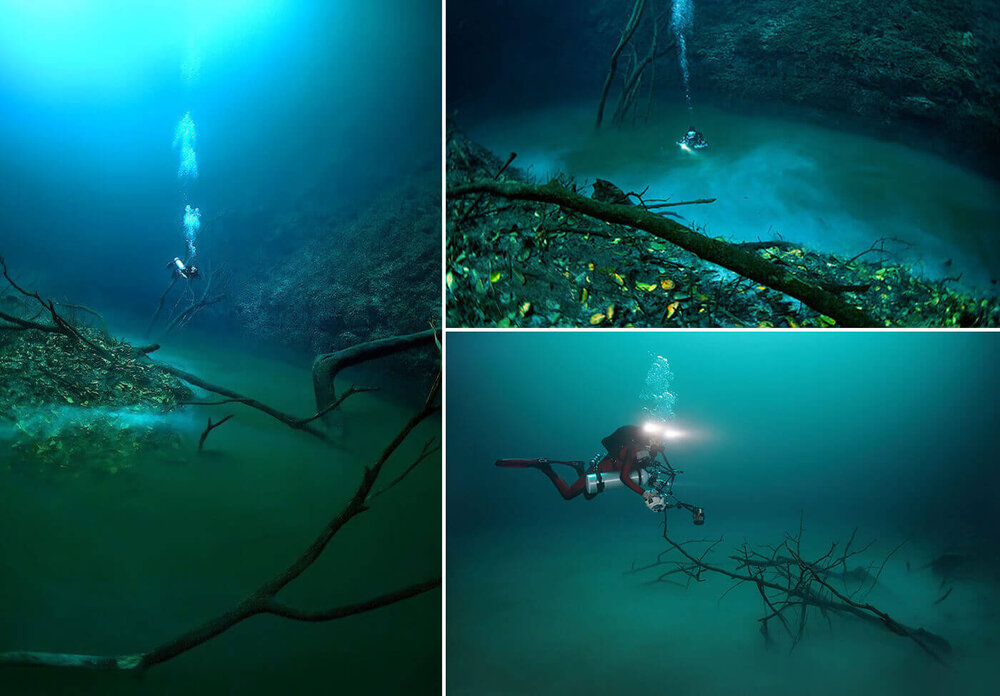 رودخانهای در عمق دریا به جریان افتادهاست!/ عکس