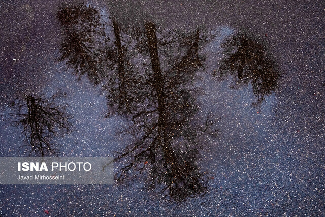 بارش پراکنده در برخی استانها / وزش باد در غالب نقاط کشور