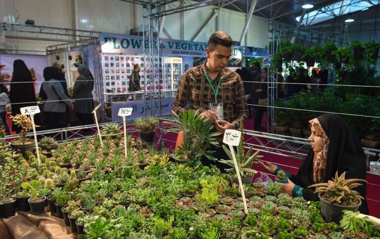نمایشگاه گل‌ و گیاه در قزوین آغاز به کار کرد