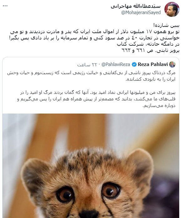 مهاجرانی: ببین شازده؛ تو برو، همون... / واکنش تند به توییت رضا پهلوی درباره «مرگ دردناک پیروز» 2