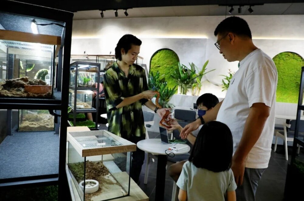 عکس|در این کافه مار و مارمولک عرضه میشود!