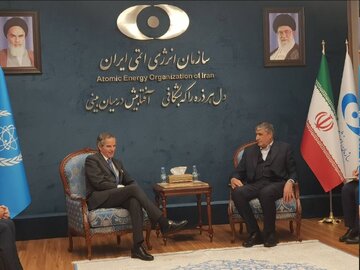 IAEA chief meets AEOI head in Tehran