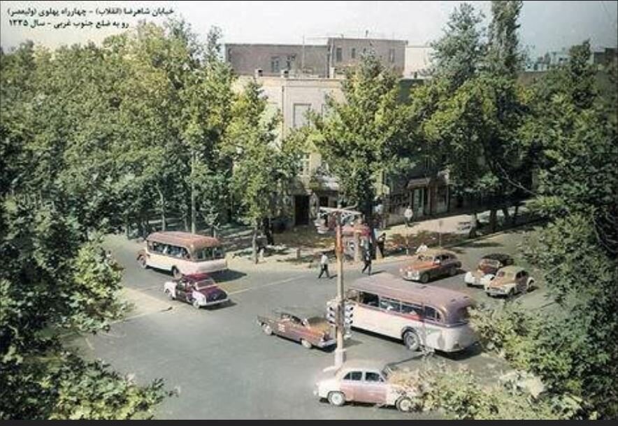 عکس| وقتی چهارراه ولیعصر تهران شبیه یک جنگل بود