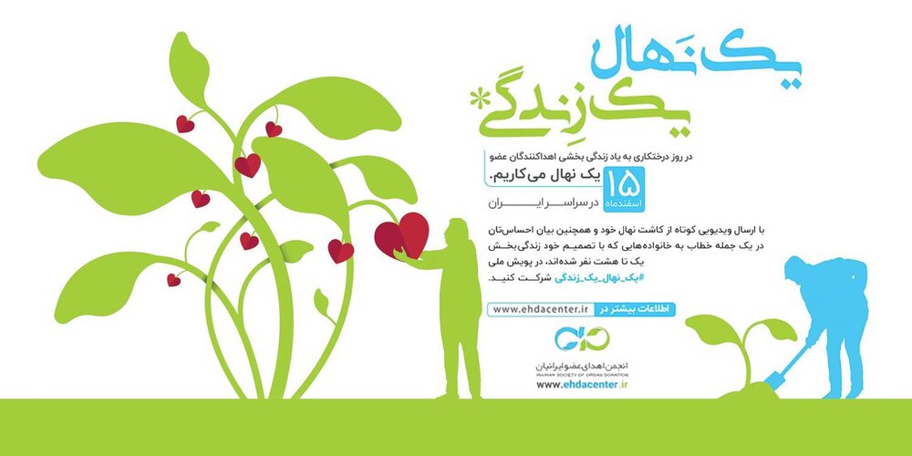 5819481 - «یک نهال یک زندگی» کوششی برای نهادینه کردن اهدای عضو