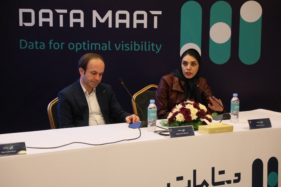 دیتامات، برنامهای برای بهینه سازی بودجهها در رسانه