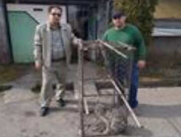 رها سازی سیاه گوش کمیاب به دامن طبیعت در گیلان