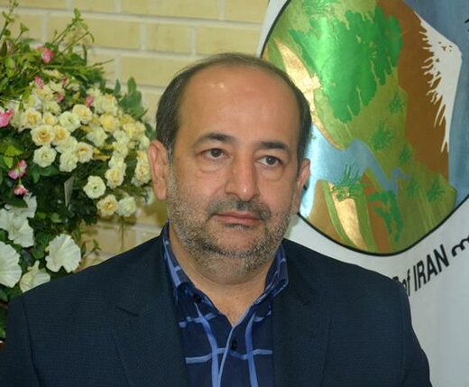 درخت برای زندگی با هم بکاریم ایران سر سبز- ایران قوی
"طرح مردمی کاشت یک میلیارد درخت"