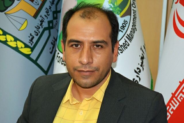 درخت برای زندگی با هم بکاریم ایران سر سبز- ایران قوی
"طرح مردمی کاشت یک میلیارد درخت"