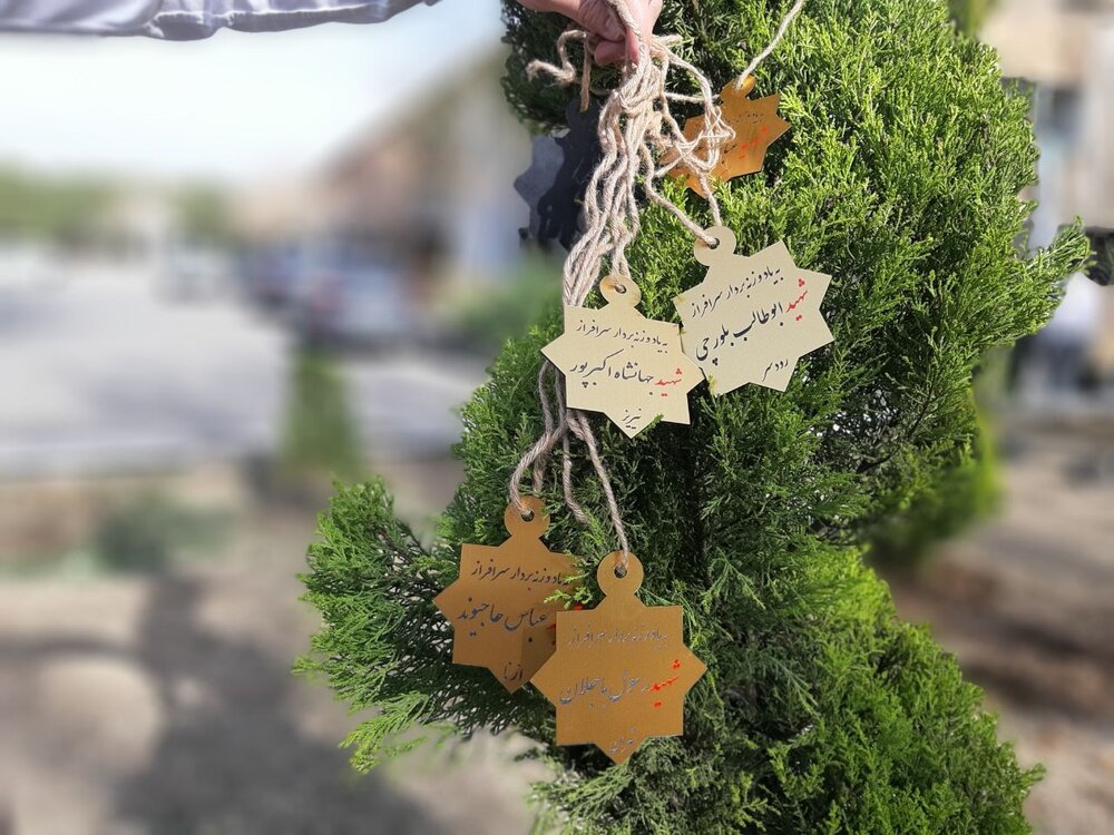 عکس | انوشیروانی رئیس شد و درخت غرس کرد